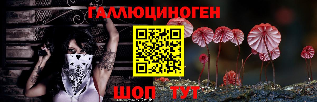 Малоярославец  Псилоцибиновые грибы MAGIC MUSHROOMS  Вход с VPN 
